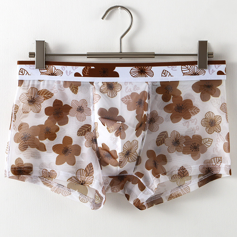 Ultra Thin Transparent Ice Sil - Mesh Sport Boxer บทวิจารณ์และราคา