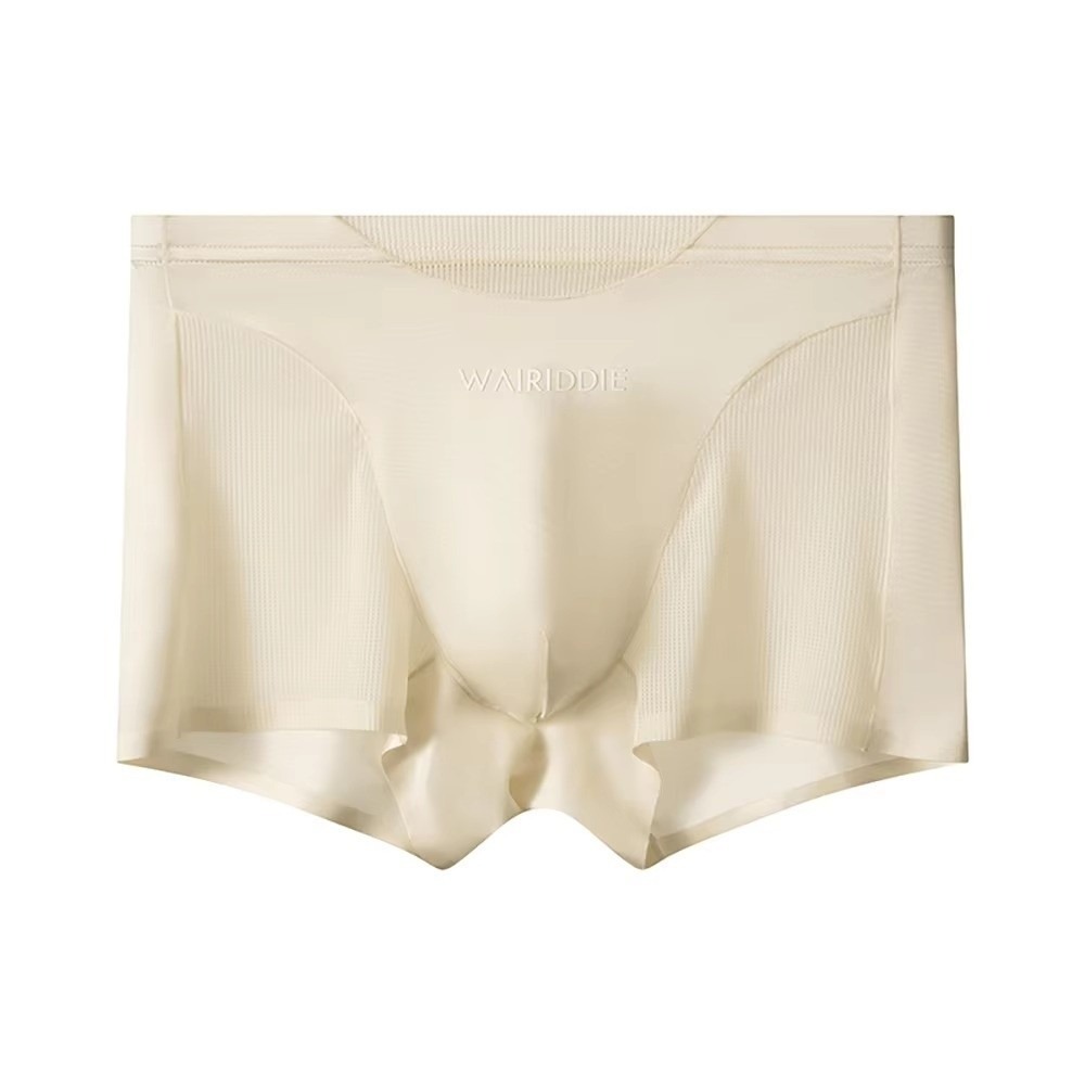 Simple Mesh Ice Silk Underwear - Mesh Sport Boxer บทวิจารณ์และราคา